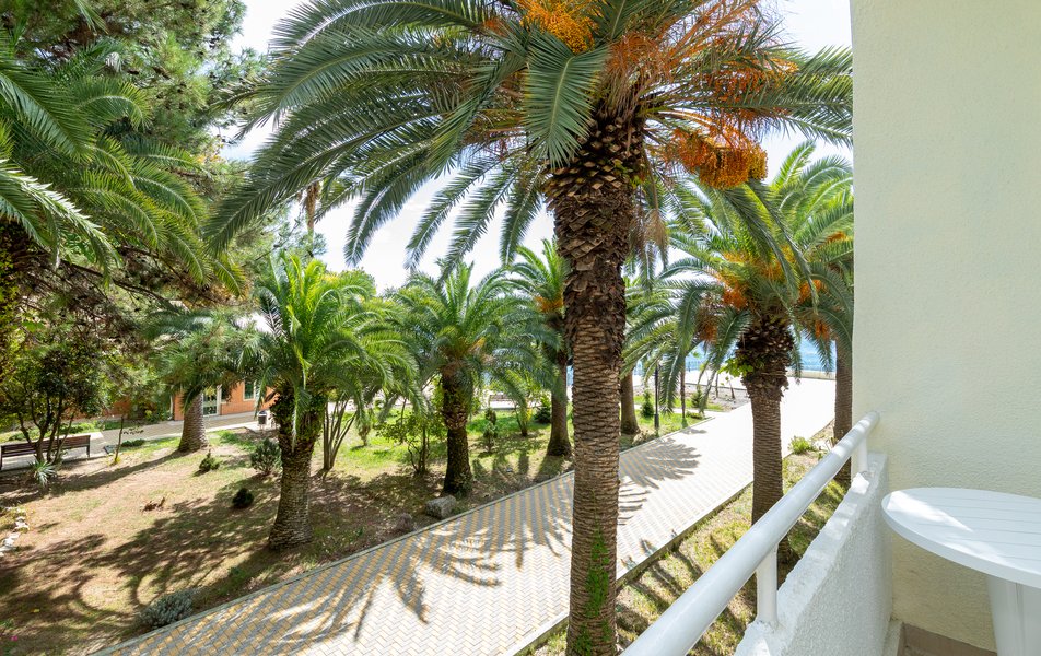 Летний сезон 2026